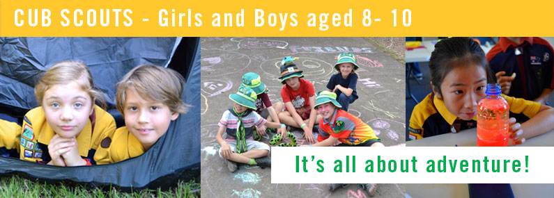 Labrador Cub Scouts